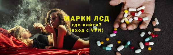 крисы Наволоки