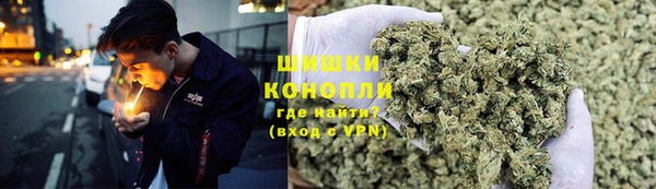 крисы Наволоки