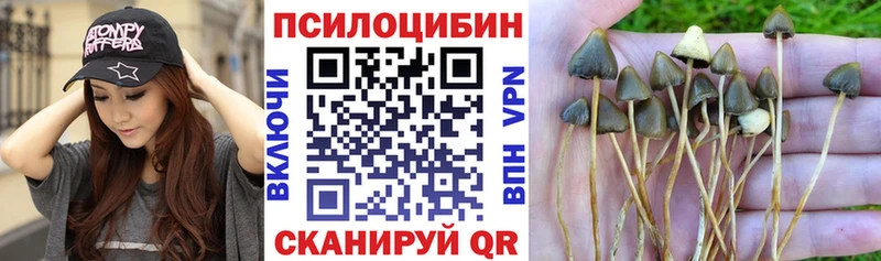 Псилоцибиновые грибы MAGIC MUSHROOMS  гидра ТОР  Наволоки 